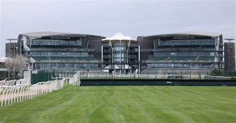 horses running in the grand national